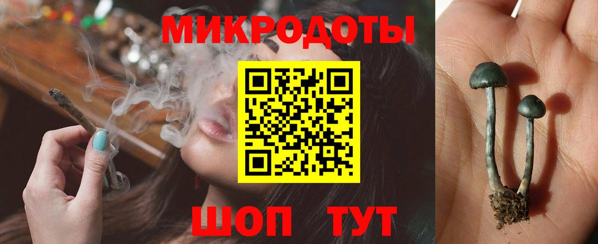 Мурманск  Галлюциногенные грибы Psilocybine cubensis  Вход с VPN  Галлюциногенные грибы Psilocybine cubensis 